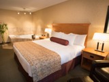 Premier Room